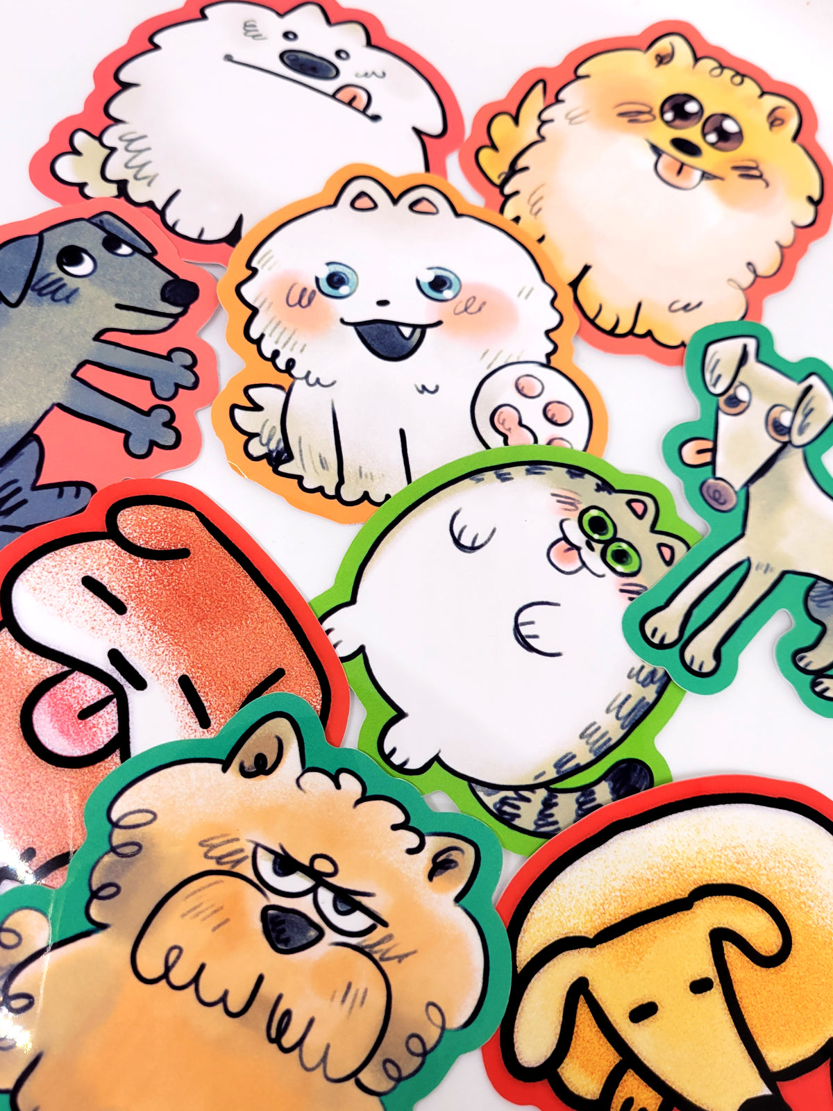 CATS AND DOGS