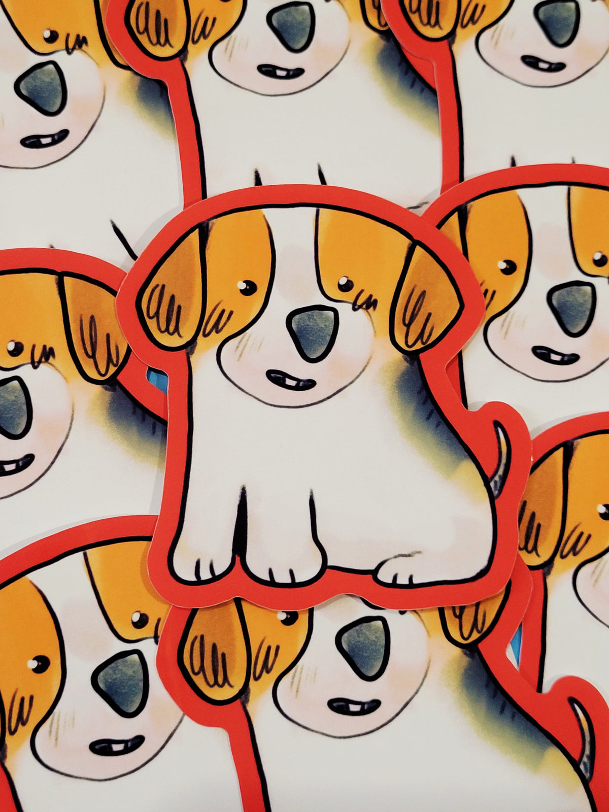 CATS AND DOGS