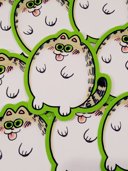 CATS AND DOGS