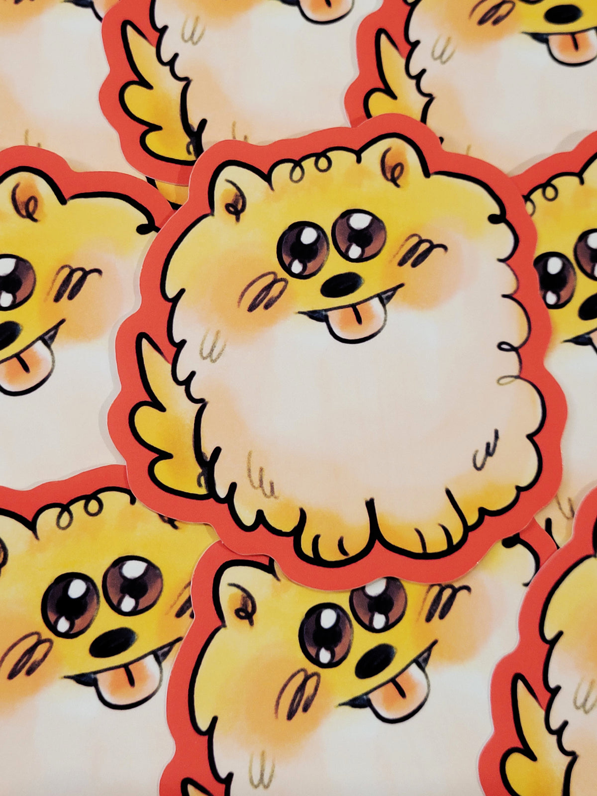 CATS AND DOGS