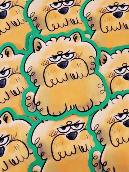CATS AND DOGS